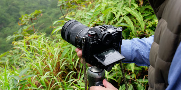 Capture the action with Cameras and Lenses from Panasonic