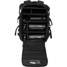 Profoto B10 Flash Head Duo Kit thumbnail