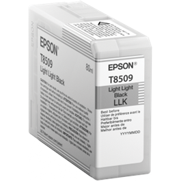 Epson T850900 Light Light Black for SC-P800 thumbnail