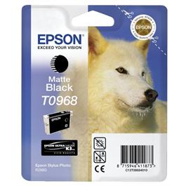 Epson Husky Light Light Black Ink T0969 for R2880 thumbnail