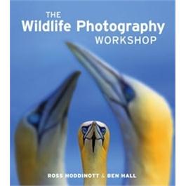 GMC The Wildlife Photography Workshop thumbnail